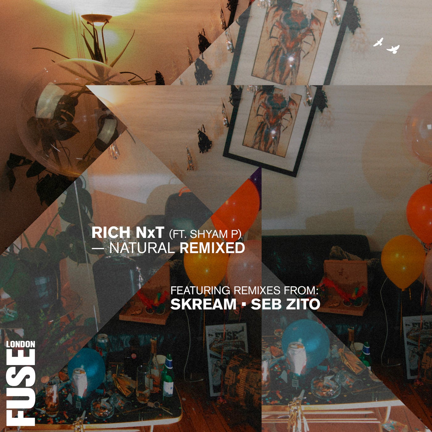 Rich NxT, Shyam P – Natural Remixed [FUSE044R]